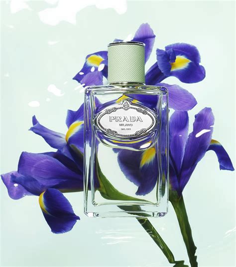 infusion d'iris prada 100ml.